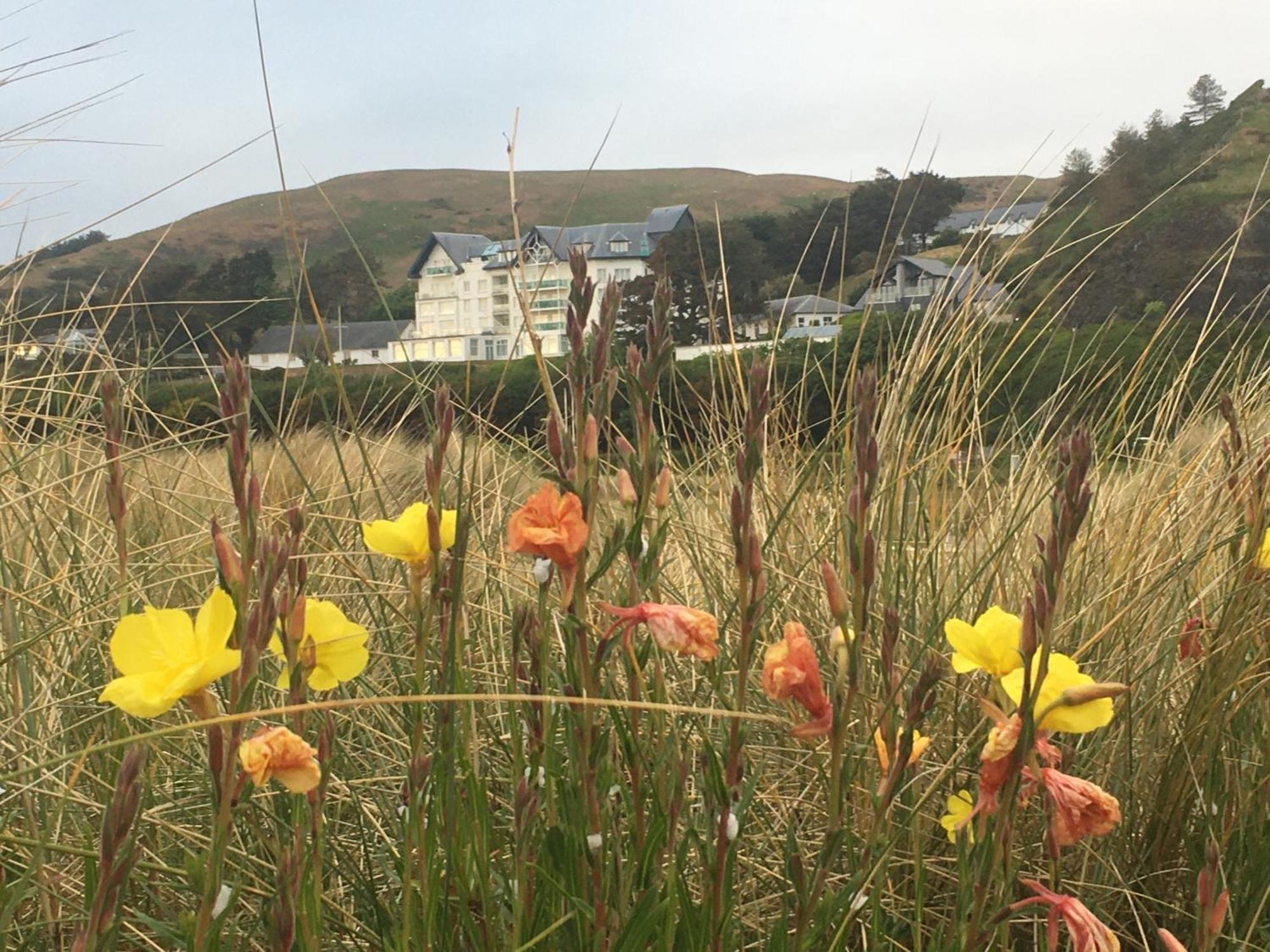 Lovely Seafront 2 Bedroom Apartment 4 Aberdyfi Exteriér fotografie